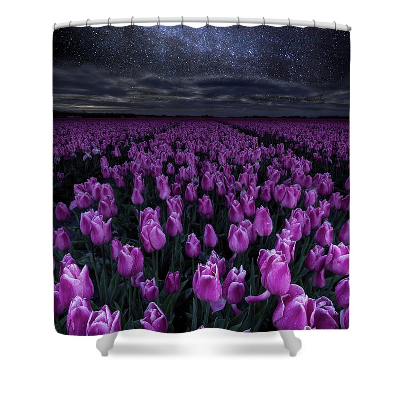 Landscape Shower Curtain featuring the photograph Starlight by Jorge Maia