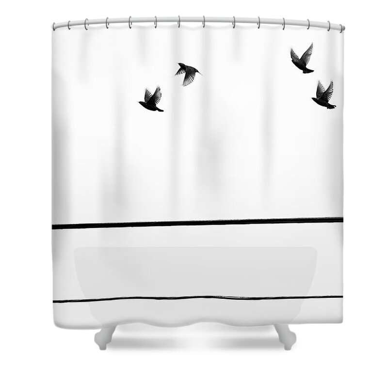 People Shower Curtain featuring the photograph Starlings Flyby by Digi guru