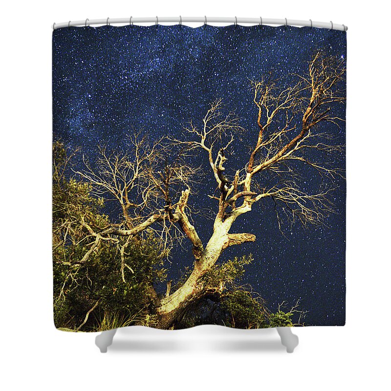 Starry Sky Shower Curtain featuring the photograph Stars light up Arizona Sky by Chance Kafka