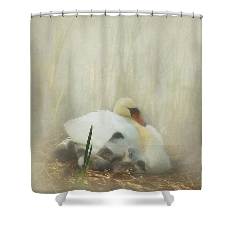 Swan Nesting Shower Curtains