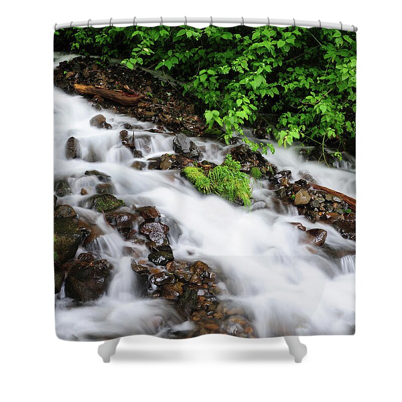 Scenics Shower Curtain featuring the photograph Stream by Aimintang