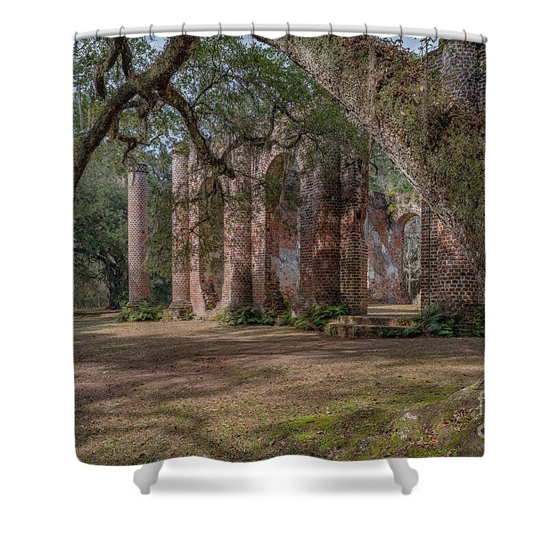 Old Sheldon Church Ruins Shower Curtain featuring the photograph Stretching of Time - Old Sheldon Church Ruins by Dale Powell