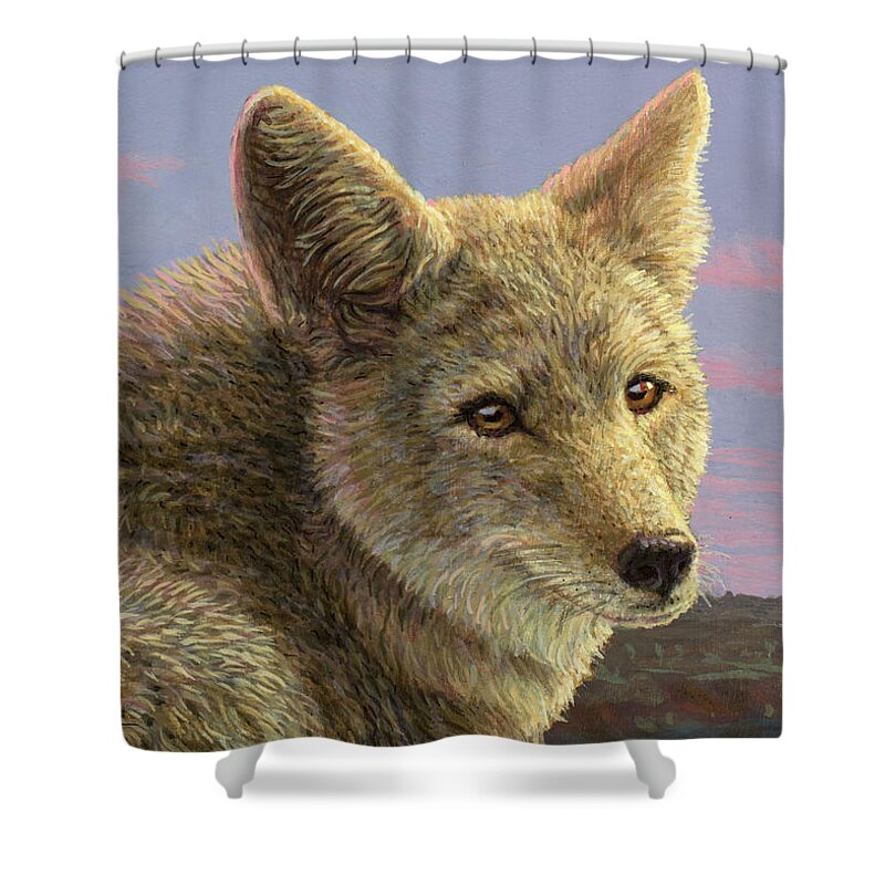Coyote Shower Curtain featuring the painting Study of a Coyote by James W Johnson
