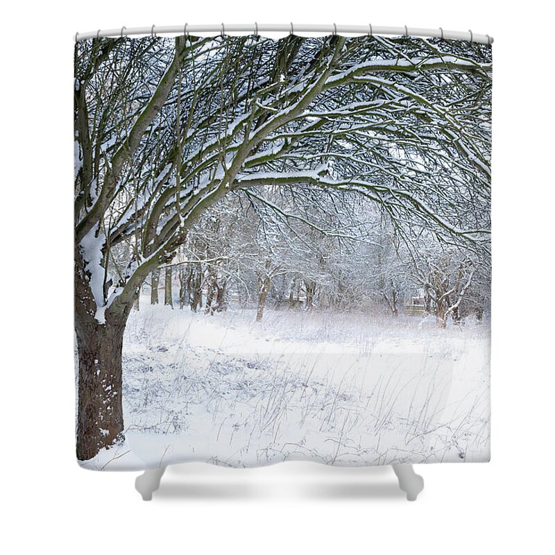 Norfolk Shower Curtain featuring the photograph Stunning forest snow winter scene by Simon Bratt