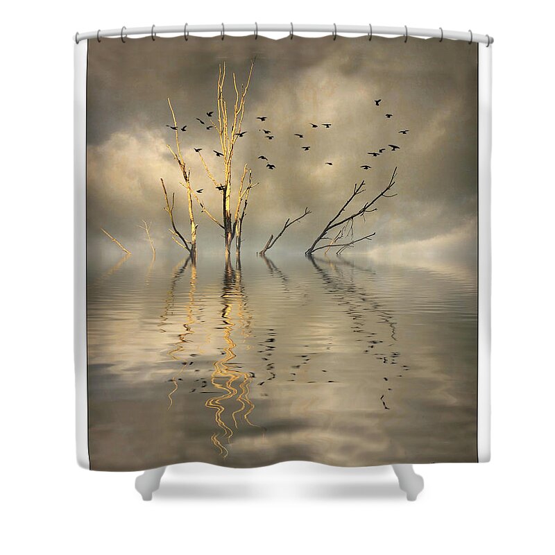 Barren Tree Shower Curtain featuring the photograph Submerged by Peggy Dietz