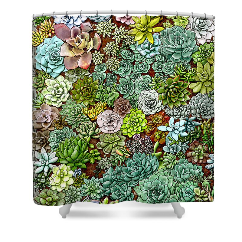 Succulent Wall Shower Curtain featuring the painting Succulent Wall by Jen Montgomery