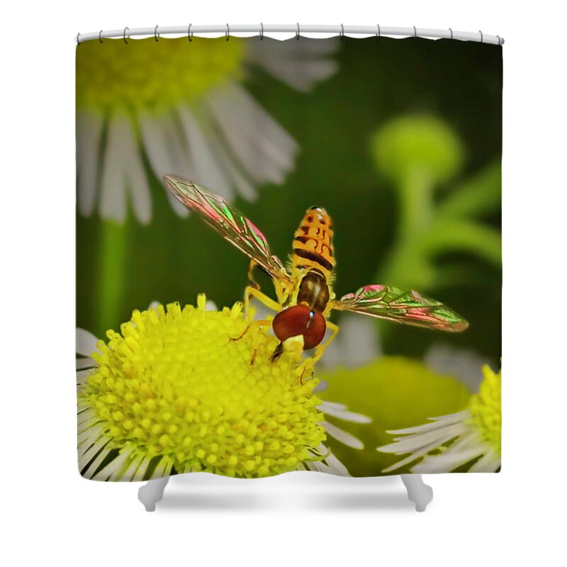 Macro Photography Shower Curtain featuring the photograph Sugar Bee Wings by Meta Gatschenberger