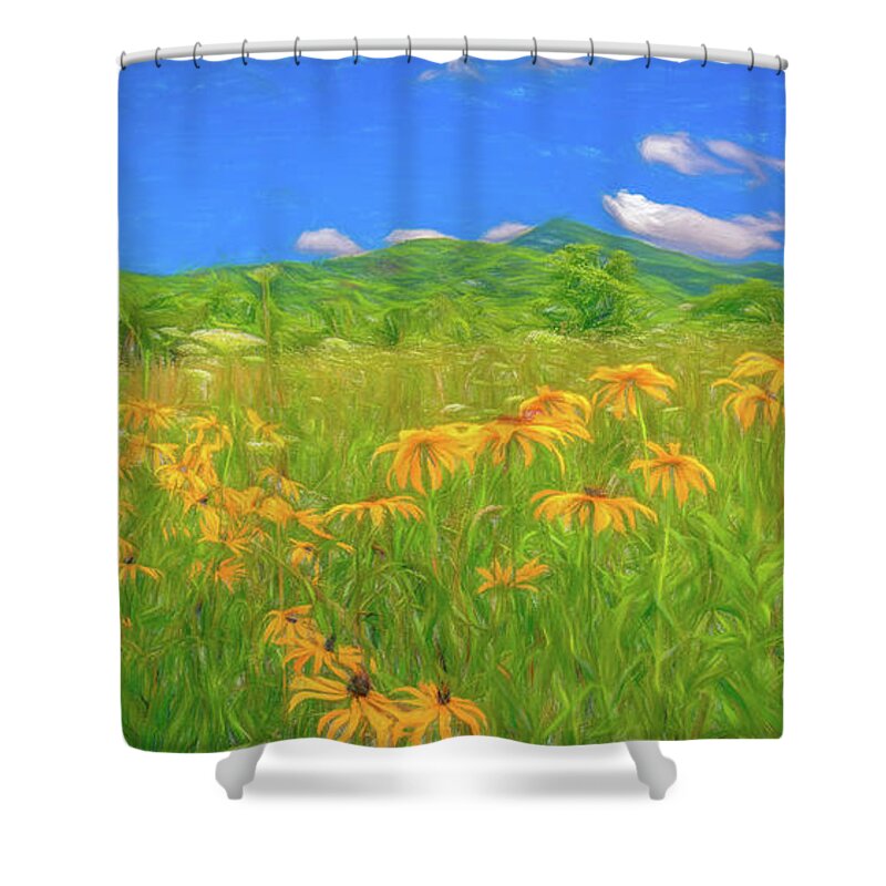 Summer Field Flowers Shower Curtain featuring the photograph Summer Meadow, Stylized by Marcy Wielfaert