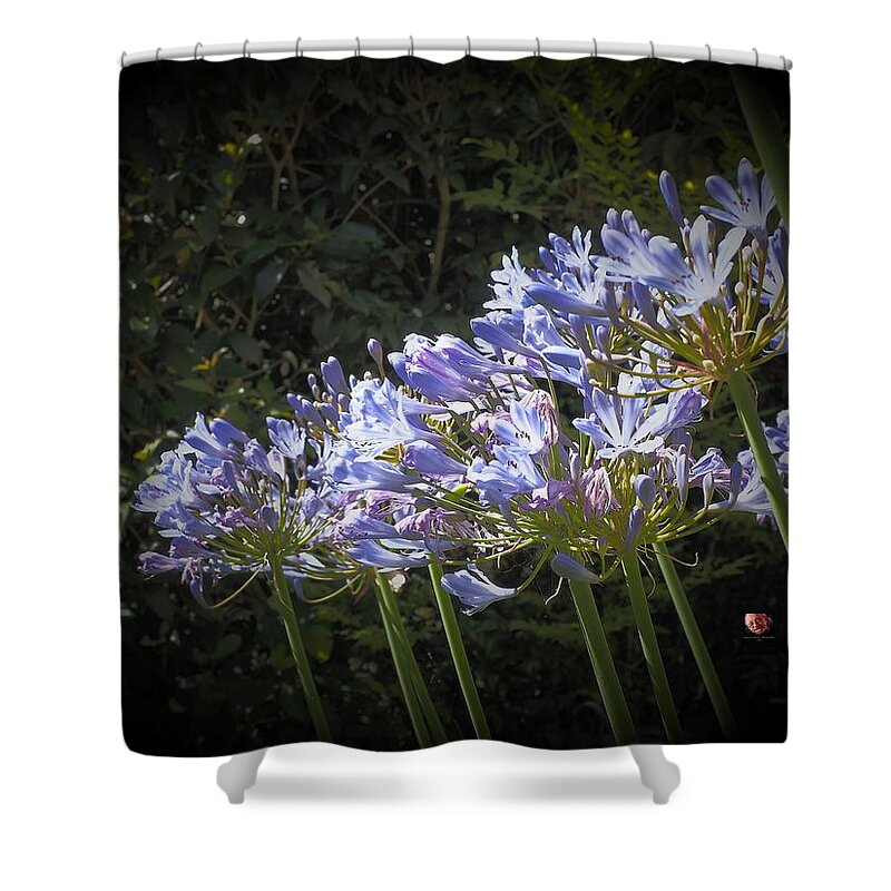 Botanical Shower Curtain featuring the photograph Summertime Floral Beauty by Richard Thomas