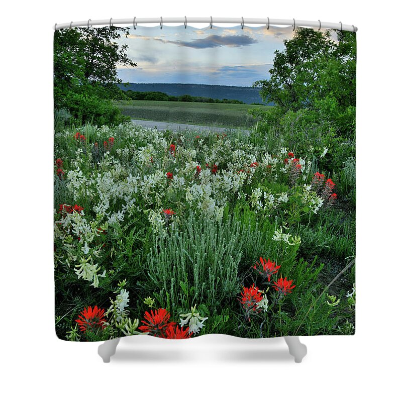 Ouray Shower Curtain featuring the photograph Sun Setting over Dallas Divide Wildflowers by Ray Mathis