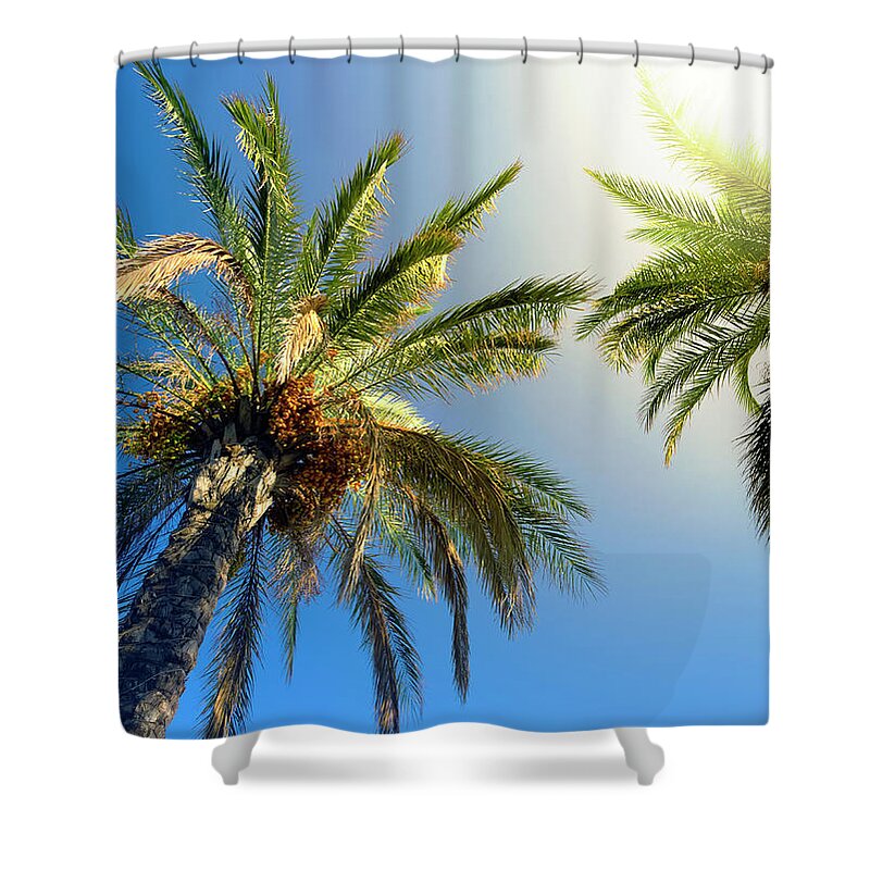 Tropical Tree Shower Curtain featuring the photograph Sunbeam Glaring Through The Palm Trees by Aylinstock
