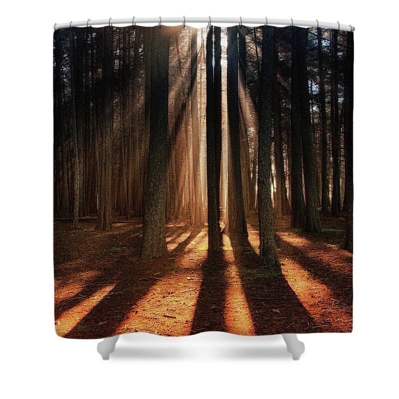 Tranquility Shower Curtain featuring the photograph Sunbeams by Trina Dopp Photography