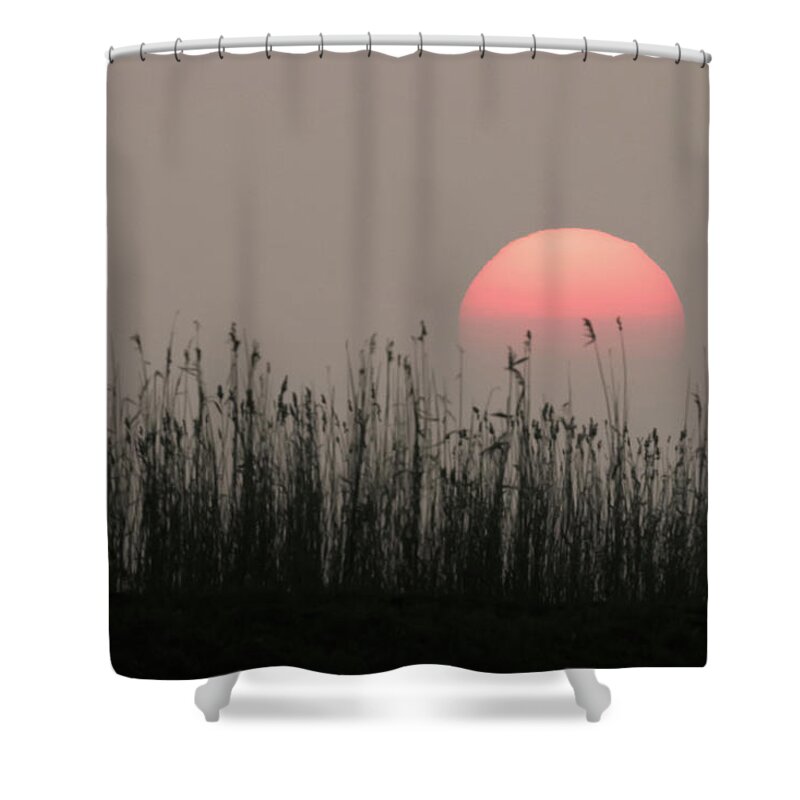 Flyladyphotographybywendycooper Shower Curtain featuring the photograph Sundown by Wendy Cooper