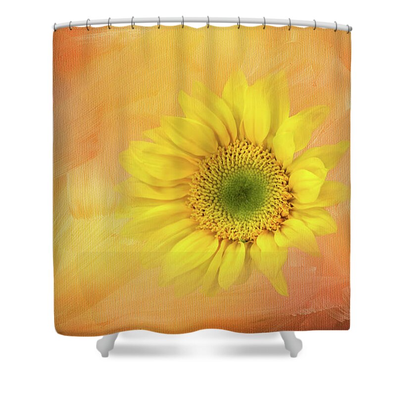 Photograph Shower Curtain featuring the digital art Sunflower on Texture by Terry Davis
