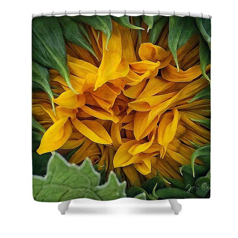 Brushstroke Shower Curtain featuring the photograph Sunflower Opening by Jori Reijonen