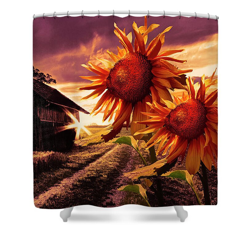 American Shower Curtain featuring the photograph Sunflower Watch Golden Evening by Debra and Dave Vanderlaan