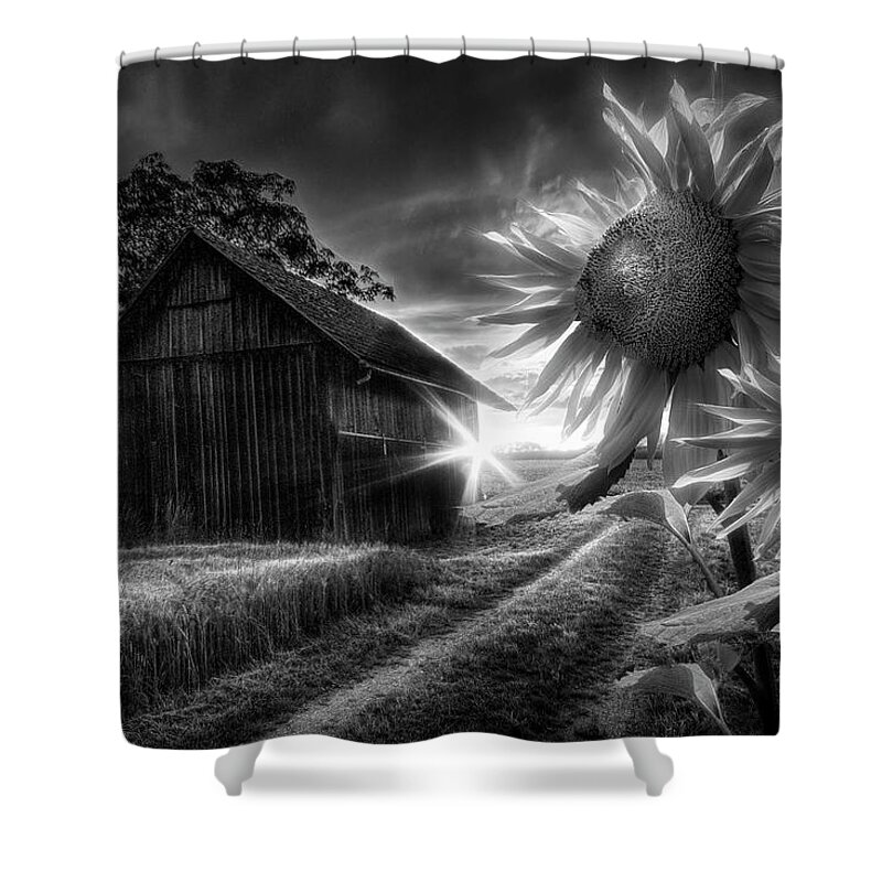 Appalachia Shower Curtain featuring the photograph Sunflower Watch in Radiant Black and White by Debra and Dave Vanderlaan