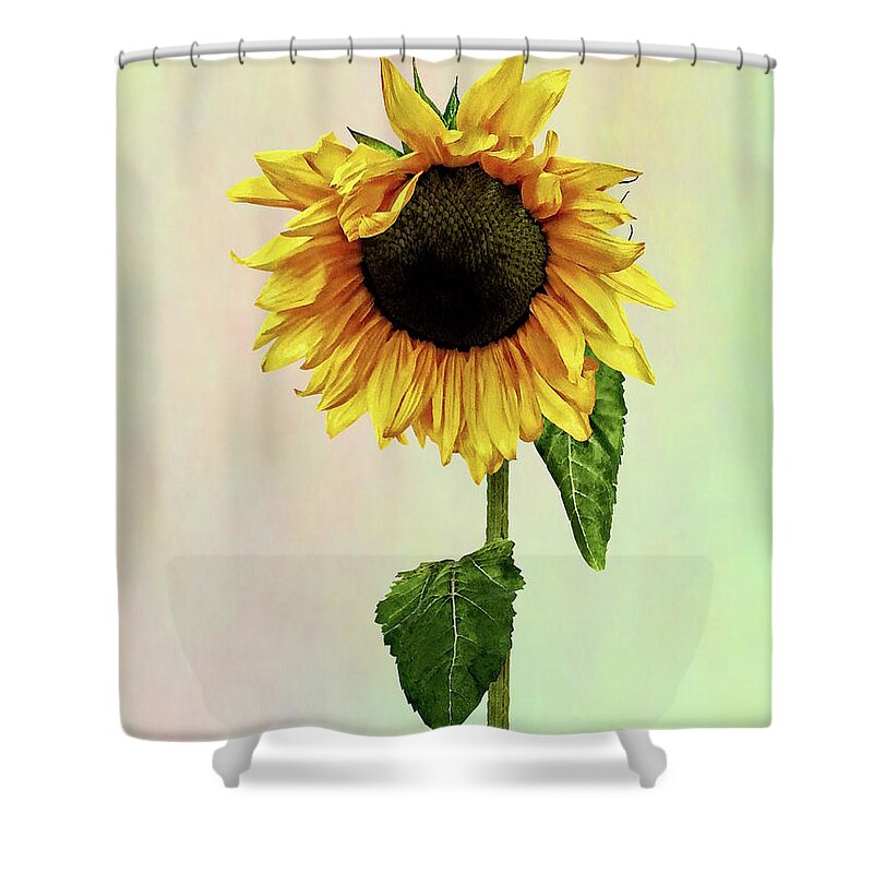 Sunflower Shower Curtain featuring the photograph Sunflower With Peakaboo Bangs by Susan Savad