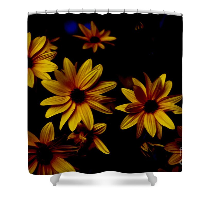 Jerusalem Shower Curtain featuring the photograph Sunflowers in the Shadows by Debra Banks