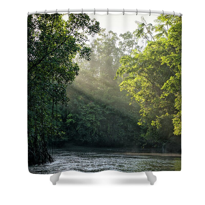 Tropical Rainforest Shower Curtain featuring the photograph Sunlight Shining Through Trees On River by Brasil2