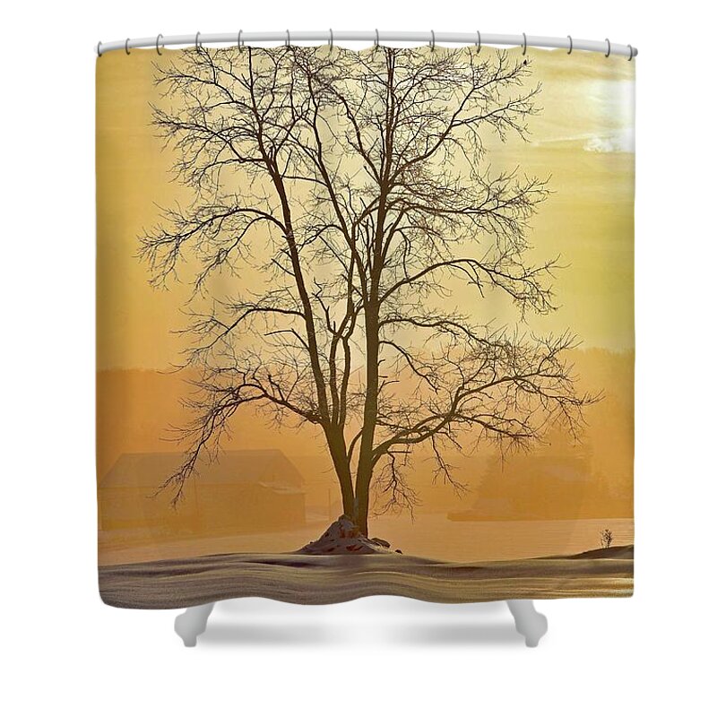 Tree Shower Curtain featuring the photograph Sunrise After A Winter Storm by Cindy Treger