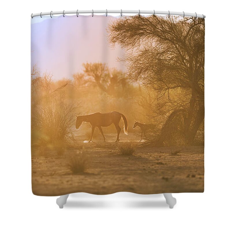 Cute Shower Curtain featuring the photograph Sunrise Walk by Shannon Hastings