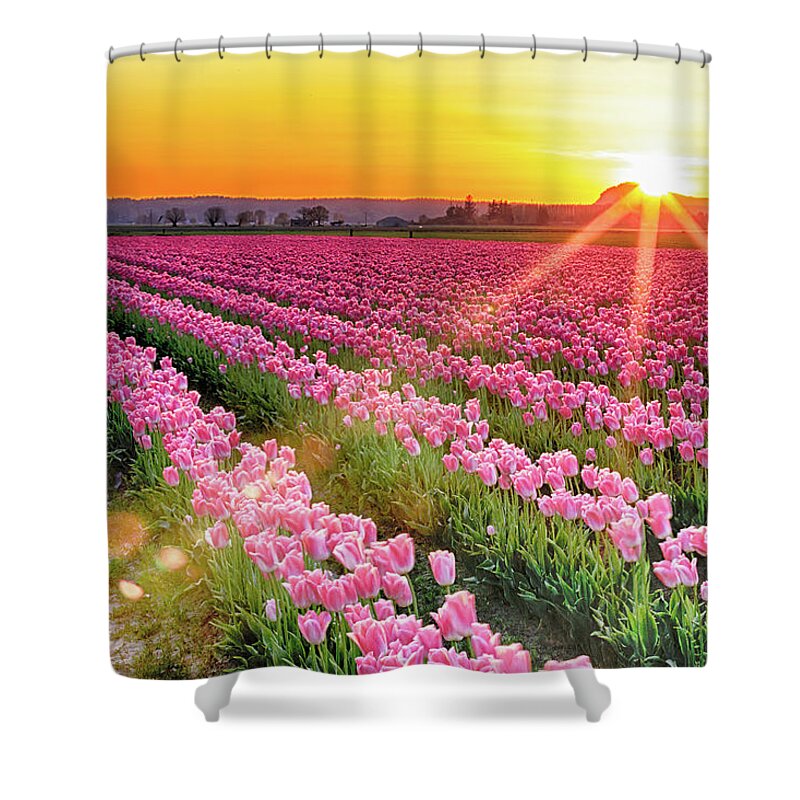 Tulip Shower Curtain featuring the photograph Sunset in the Skagit by Briand Sanderson