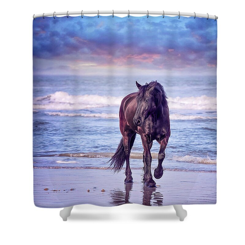 Friesian Shower Curtain featuring the photograph Sunset Stroll by Phyllis Burchett