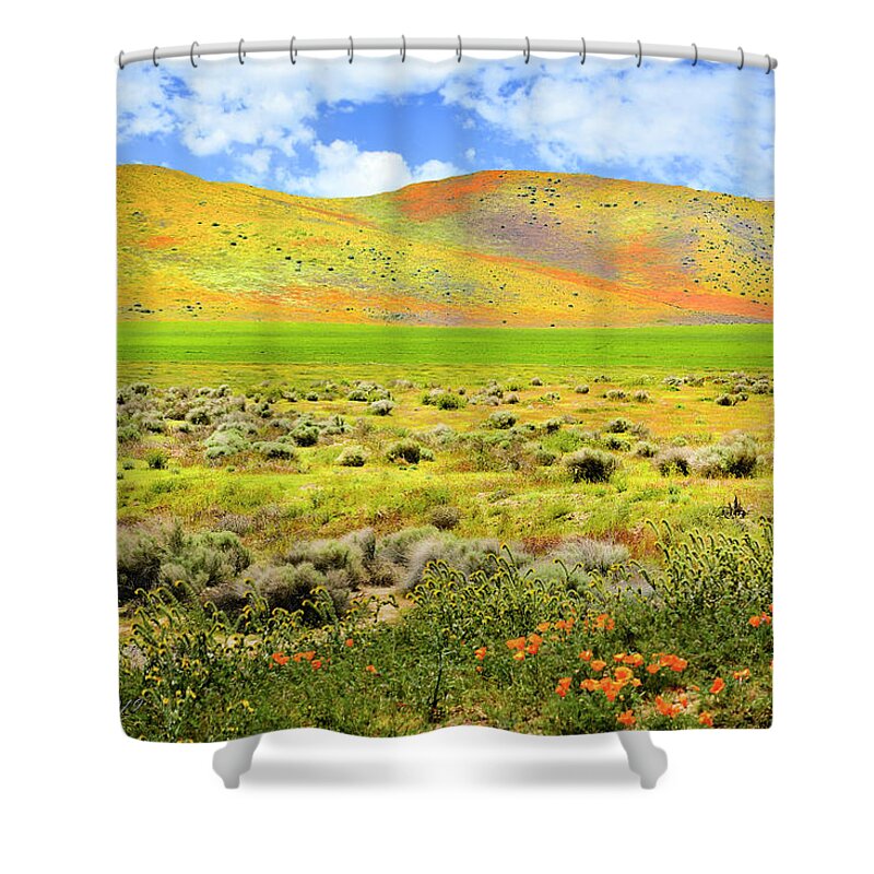 Wildflowers Shower Curtain featuring the photograph Superbloom Hills of Antelope Valley by Brian Tada