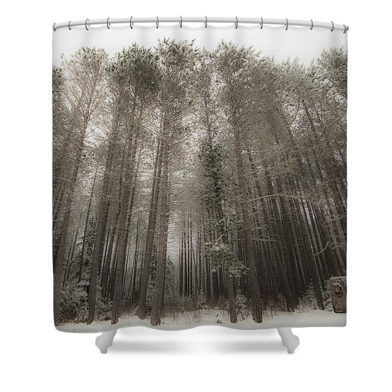 Superior National Forest Shower Curtain featuring the photograph Superior National Forest by Joe Kopp