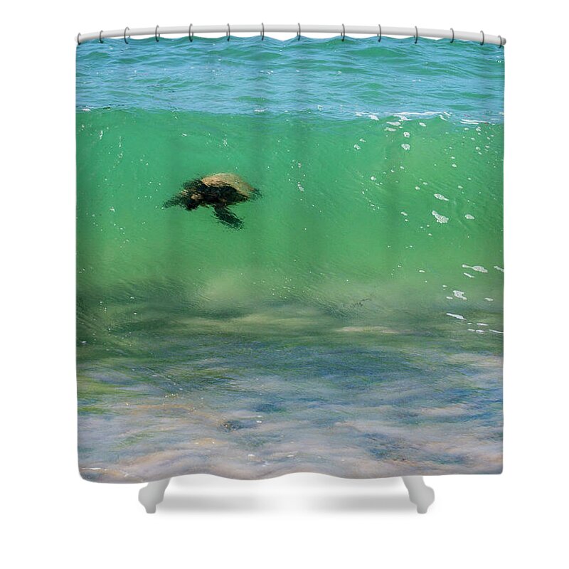 Honu Shower Curtain featuring the photograph Surfing Turtle by Anthony Jones