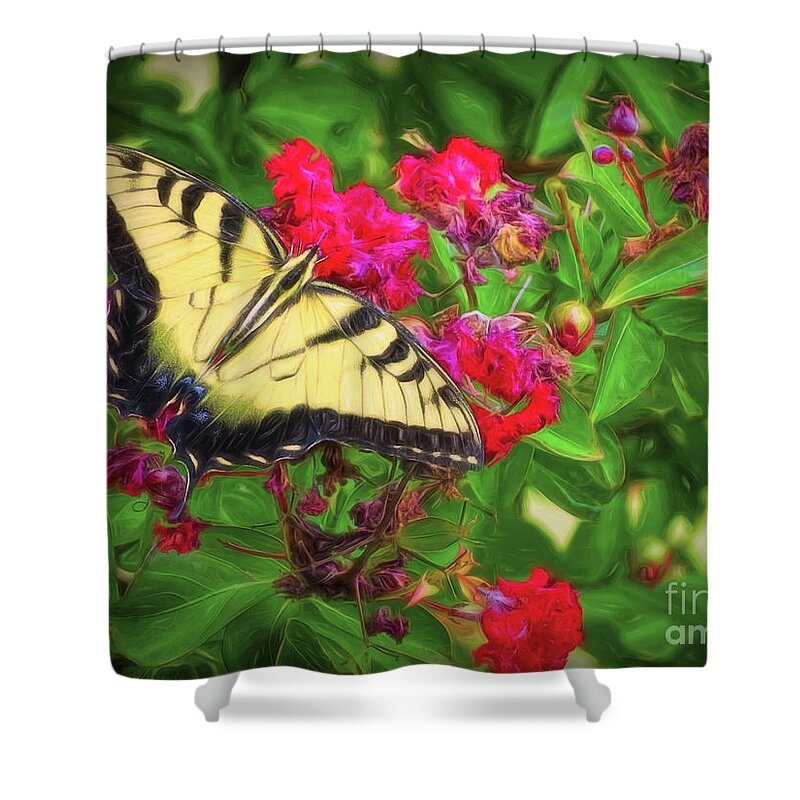 Butterfly Shower Curtain featuring the photograph Swallowtail Among Flowers by Sue Melvin