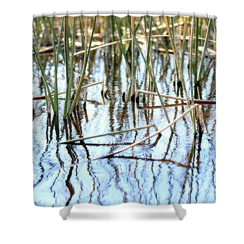 Swamp Shower Curtain featuring the photograph Swamp Abstract with Reeds and Blue Water by Carol Groenen