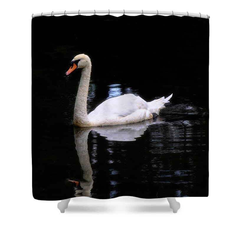 Swan Shower Curtain featuring the photograph Swan 3 by George Taylor
