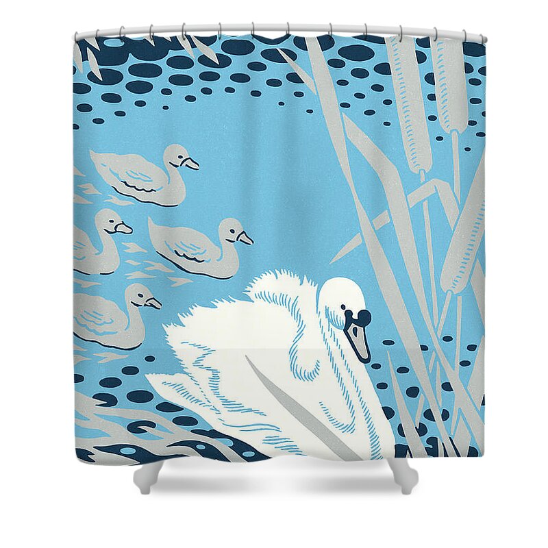Animal Shower Curtain featuring the drawing Swan and Its Young by CSA Images