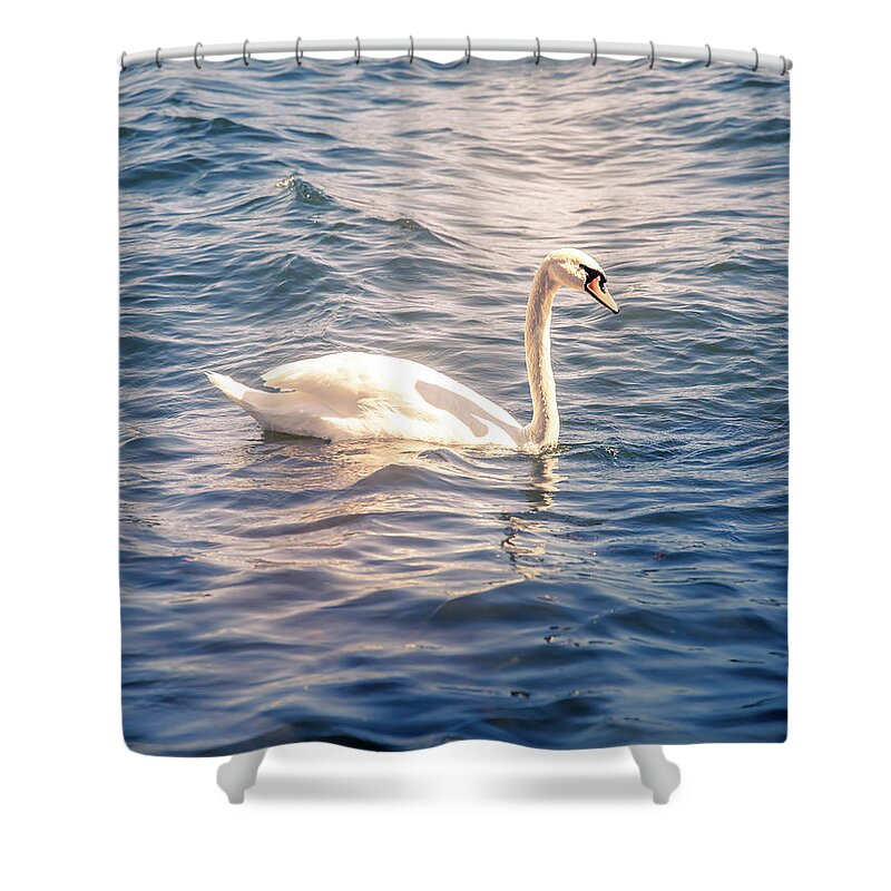 Swan Shower Curtain featuring the photograph Swan by Nicklas Gustafsson