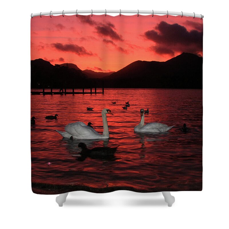 Animal Themes Shower Curtain featuring the photograph Swans At Derwentwater by Photography By Linda Lyon