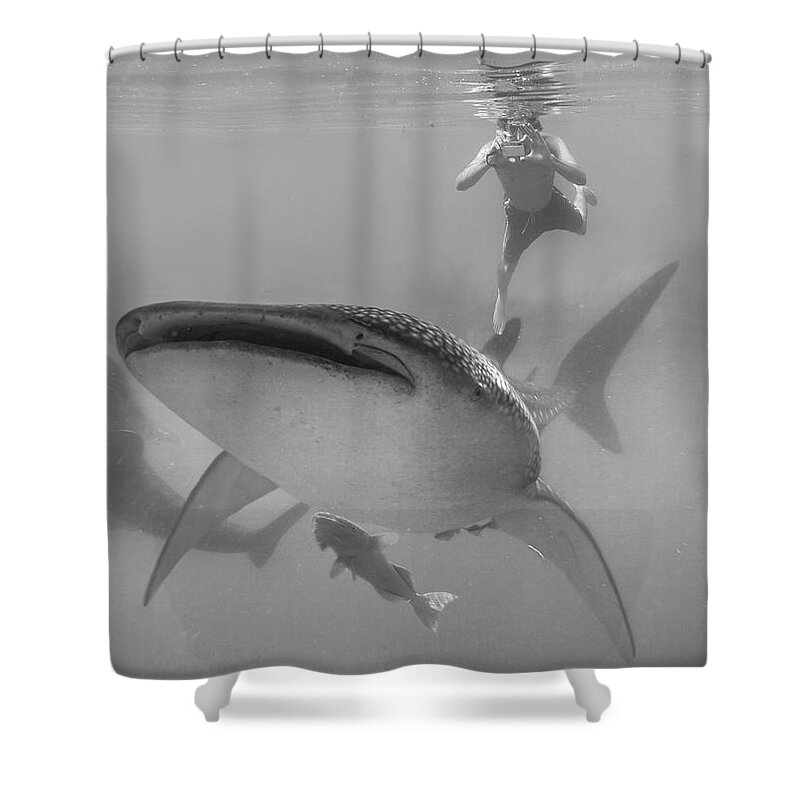 Disk1215 Shower Curtain featuring the photograph Swimming With The Big Fish by Tim Fitzharris