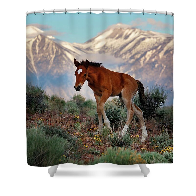  Shower Curtain featuring the photograph _T__2665Lg by John T Humphrey