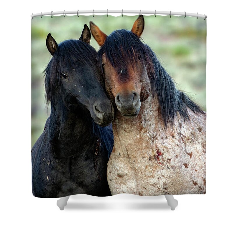  Shower Curtain featuring the photograph _t__2748 by John T Humphrey