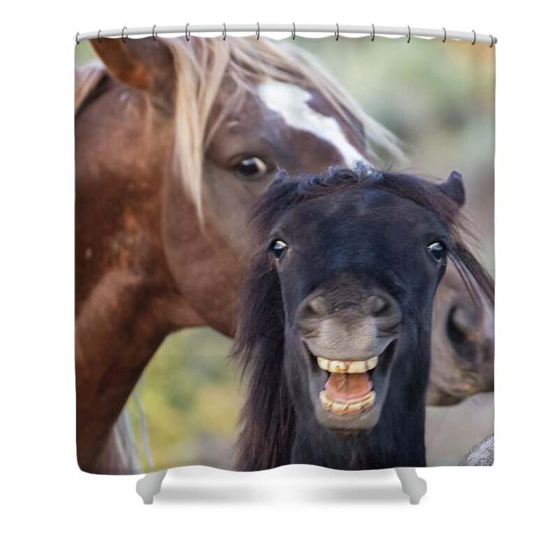  Shower Curtain featuring the photograph _t__3597 by John T Humphrey