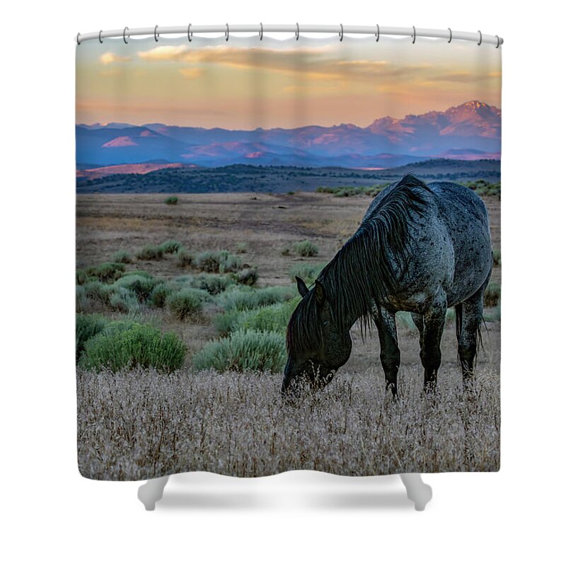 Landscape Shower Curtain featuring the photograph _t__6254 by John T Humphrey