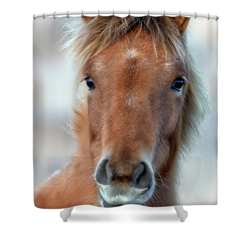 Emmie Shower Curtain featuring the photograph Emmie by John T Humphrey