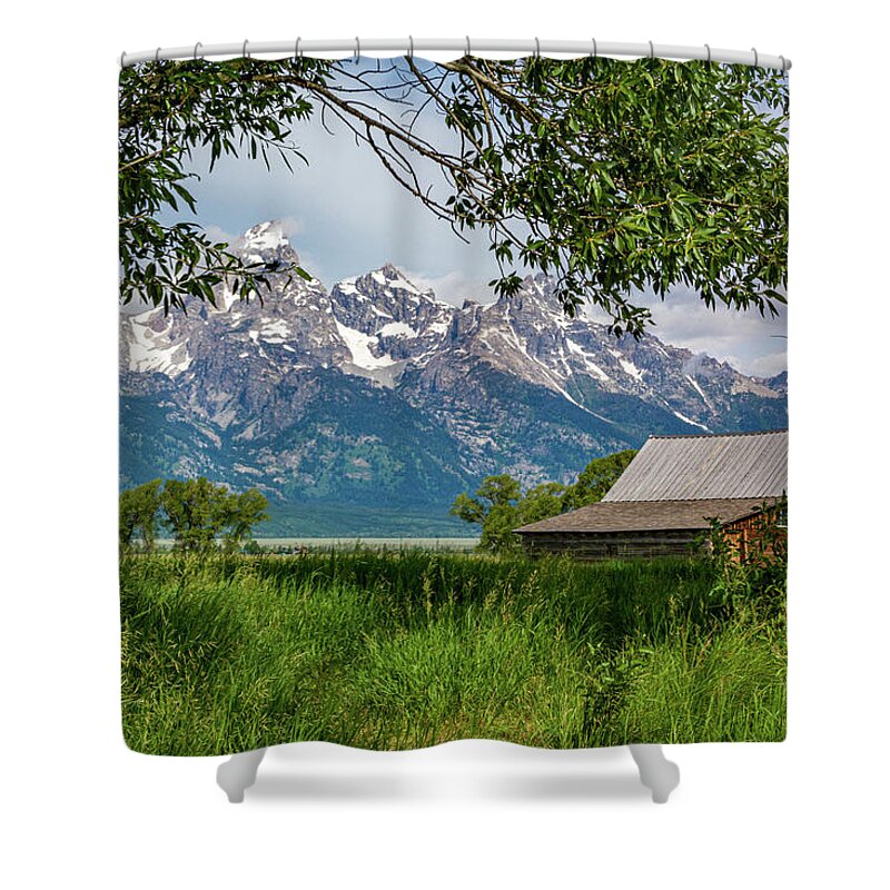 T.a. Moulton Shower Curtain featuring the photograph T A Moulton Barn Through the Trees by Douglas Wielfaert