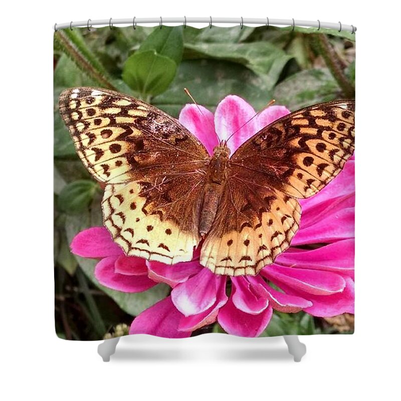 Butterfly Shower Curtain featuring the photograph Taking A Moment To Rest by Allen Nice-Webb