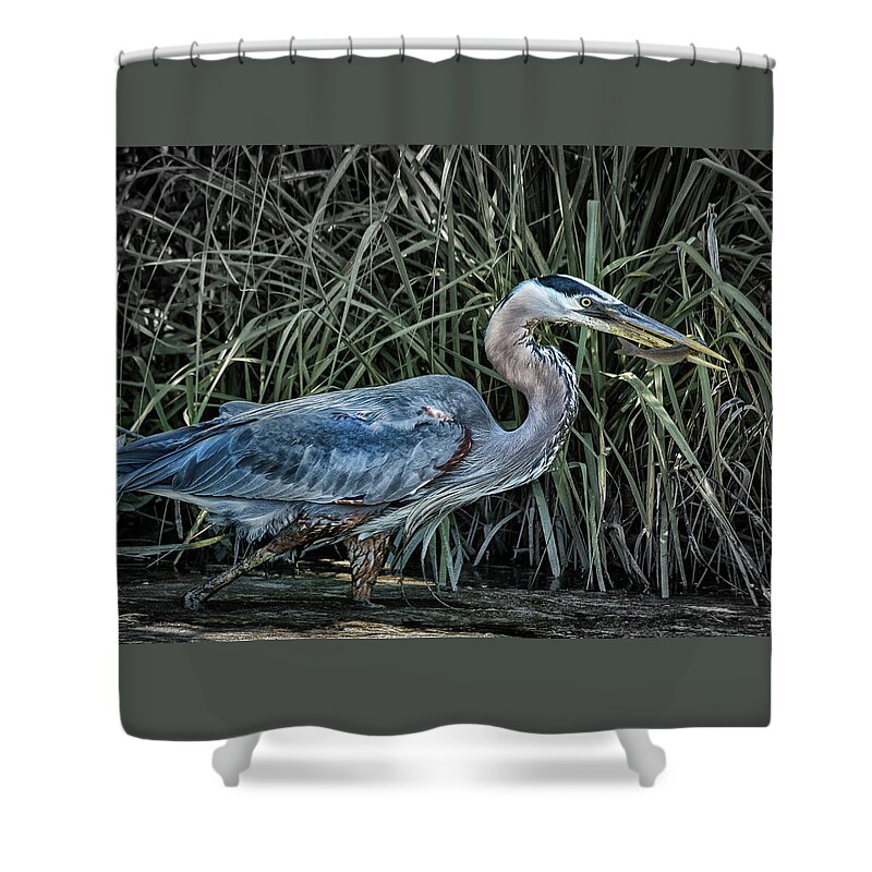 Birds Shower Curtain featuring the photograph Tasty Treat by Ray Silva