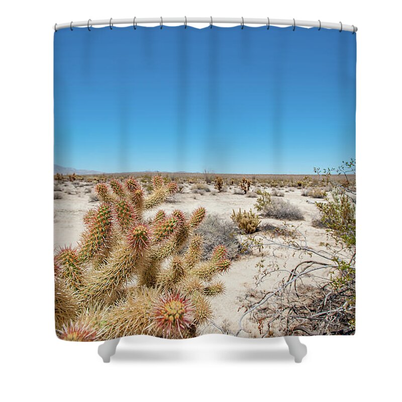 Anza-borrego Desert State Park Shower Curtain featuring the photograph Teddy Bear Cactus by Mark Duehmig
