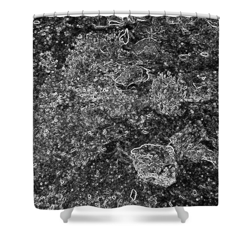 Abstract Shower Curtain featuring the photograph Telephone Abstract 10 by Judy Kennedy