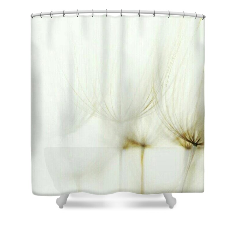 Dandelions Shower Curtain featuring the photograph Tender Childhood Wishes by The Art Of Marilyn Ridoutt-Greene
