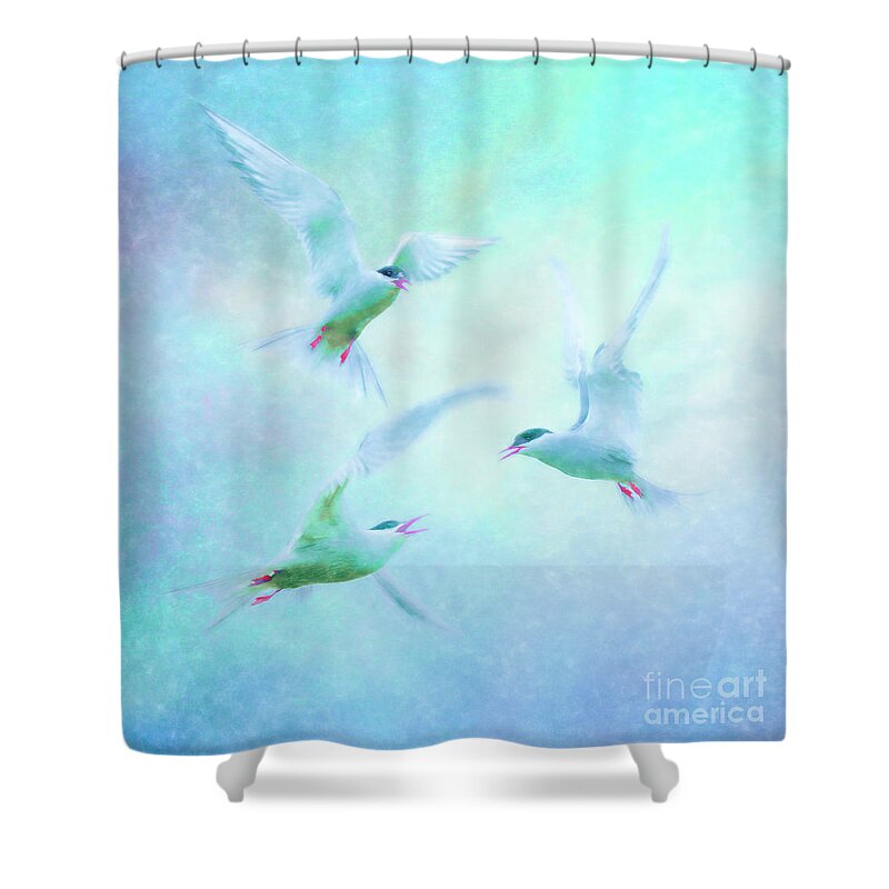 Terns Shower Curtain featuring the photograph Terns squabbling by Brian Tarr